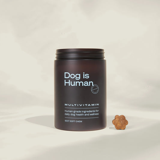 Dog is Human Daily Multivitamin for Dogs Human-grade, Vet-formulated, Made in Vermont